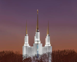 Washington DC Temple Evening Glow