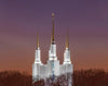 Washington DC Temple Evening Glow