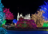 Washington DC Temple Colorful Christmas