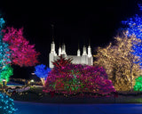 Washington DC Temple Colorful Christmas