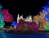 Washington DC Temple Colorful Christmas