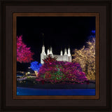 Washington DC Temple Colorful Christmas