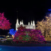 Washington DC Temple Colorful Christmas