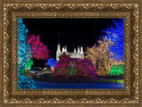 Washington DC Temple Colorful Christmas