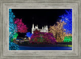 Washington DC Temple Colorful Christmas