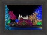 Washington DC Temple Colorful Christmas