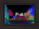 Washington DC Temple Colorful Christmas