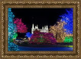 Washington DC Temple Colorful Christmas