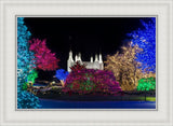 Washington DC Temple Colorful Christmas