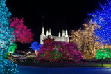 Washington DC Temple Colorful Christmas