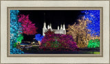 Washington DC Temple Colorful Christmas