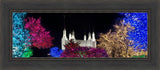 Washington DC Temple Colorful Christmas