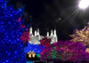 Washington DC Temple Christmas Spirit