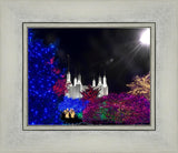 Washington DC Temple Christmas Spirit