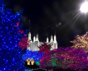 Washington DC Temple Christmas Spirit