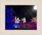 Washington DC Temple Christmas Spirit