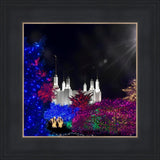 Washington DC Temple Christmas Spirit