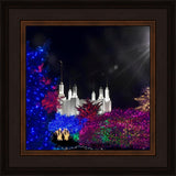 Washington DC Temple Christmas Spirit