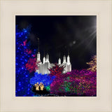 Washington DC Temple Christmas Spirit