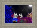 Washington DC Temple Christmas Spirit