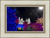 Washington DC Temple Christmas Spirit