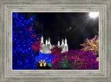 Washington DC Temple Christmas Spirit