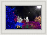 Washington DC Temple Christmas Spirit