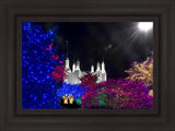 Washington DC Temple Christmas Spirit