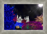 Washington DC Temple Christmas Spirit