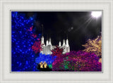 Washington DC Temple Christmas Spirit