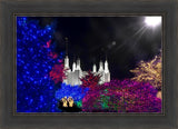 Washington DC Temple Christmas Spirit