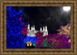 Washington DC Temple Christmas Spirit