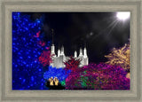 Washington DC Temple Christmas Spirit