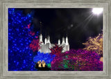 Washington DC Temple Christmas Spirit