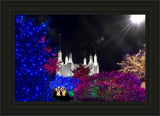 Washington DC Temple Christmas Spirit