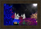 Washington DC Temple Christmas Spirit