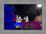 Washington DC Temple Christmas Spirit