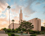 Los Angeles Eternal Gardens