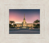 Fort Lauderdale Temple Nativity