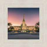 Fort Lauderdale Temple Nativity