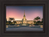 Fort Lauderdale Temple Nativity