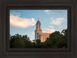 Cedar City Temple Juniper