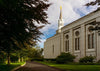 Boston Temple Trees Of Life