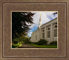 Boston Temple Trees Of Life