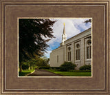 Boston Temple Trees Of Life