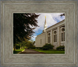 Boston Temple Trees Of Life