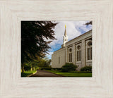 Boston Temple Trees Of Life