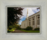 Boston Temple Trees Of Life