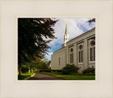 Boston Temple Trees Of Life