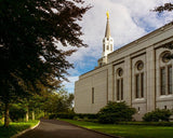 Boston Temple Trees Of Life